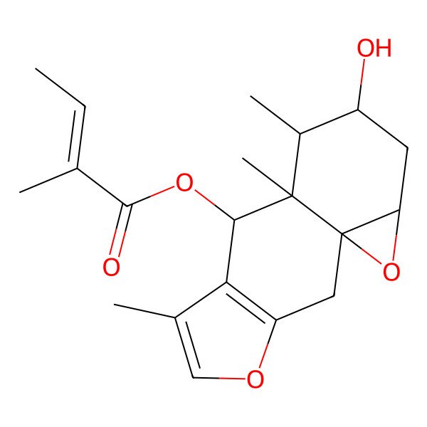 2D Structure of [(1S,8S,9S,10R,11S)-11-hydroxy-6,9,10-trimethyl-4,14-dioxatetracyclo[7.5.0.01,13.03,7]tetradeca-3(7),5-dien-8-yl] (Z)-2-methylbut-2-enoate