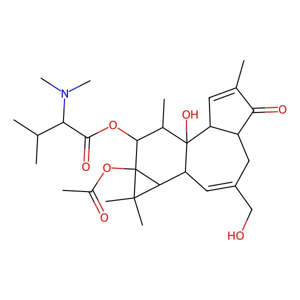 2D Structure of N,N-Dimethyl-12-(S-valinoyl)-13-acetyl-4r-4-deoxyphorbol