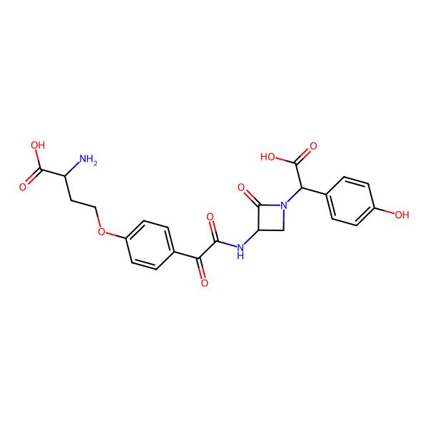 2D Structure of Nocardicin D