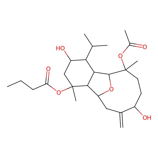 2D Structure of Pachycladin B