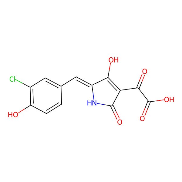 2D Structure of Pachydermin