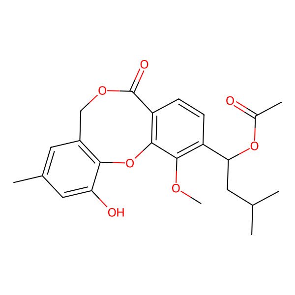 2D Structure of Paeciloxocin B