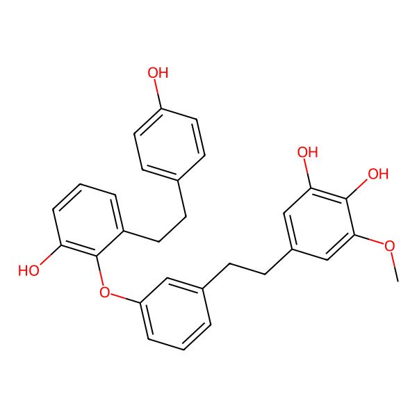 2D Structure of Paleatin A 2D Structure of Paleatin A