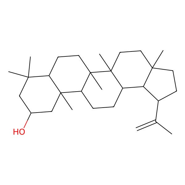 2D Structure of Palestinol