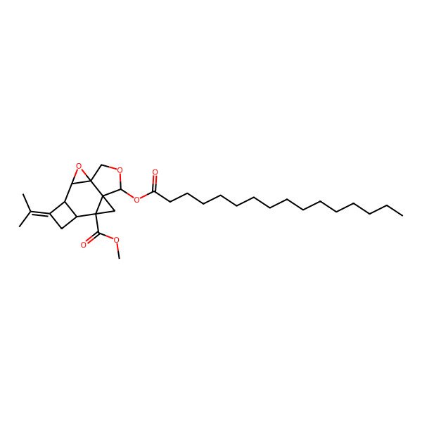 2D Structure of Palmityl-glutinopallal