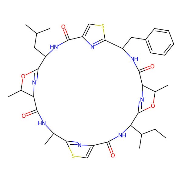 2D Structure of Patellamide B