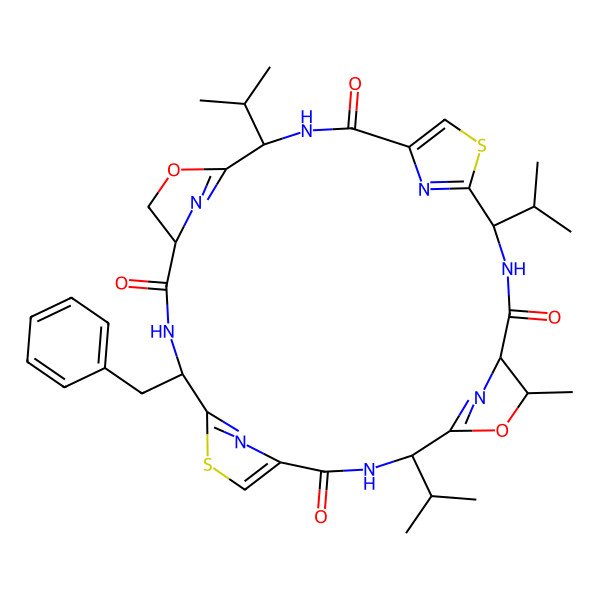 2D Structure of Patellamide F