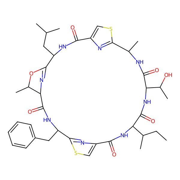 2D Structure of Patellamide G