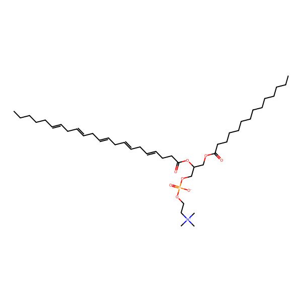 2D Structure of PC(14:0/22:5(4Z,7Z,10Z,13Z,16Z))