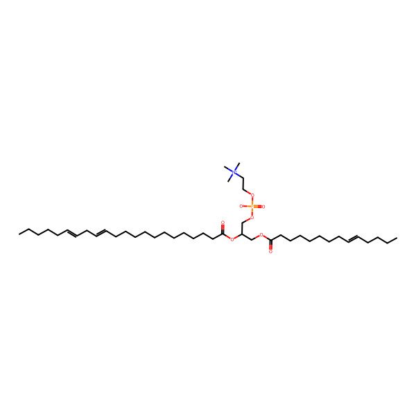 2D Structure of PC(14:1(9Z)/22:2(13Z,16Z))