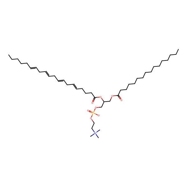 2D Structure of PC(16:0/20:4(5Z,8Z,11Z,14Z))