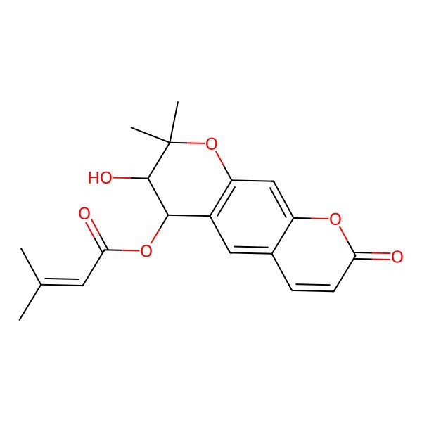 2D Structure of Pd-C-II