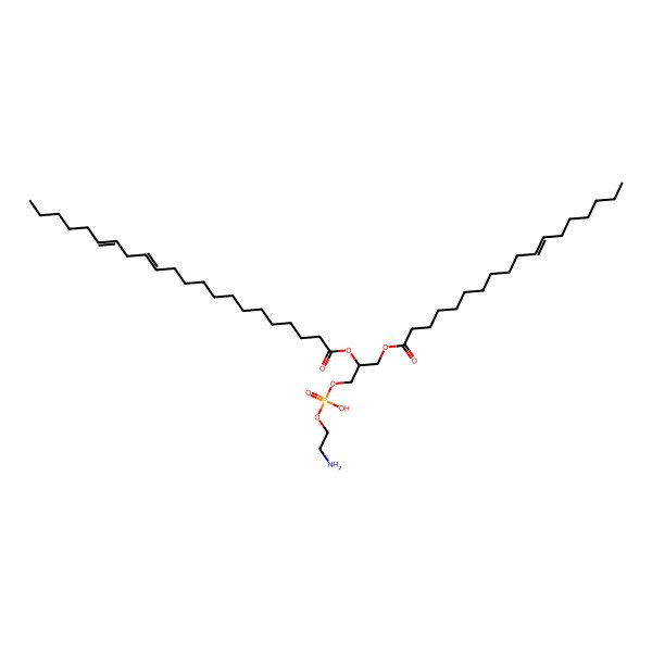 2D Structure of PE(18:1(11Z)/22:2(13Z,16Z))