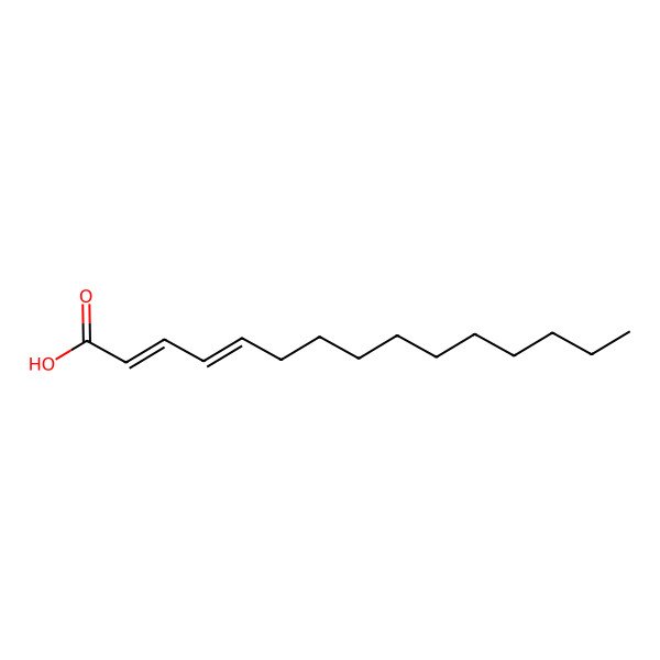 2D Structure of Pentadeca-2,4-dienoic acid 2D Structure of Pentadeca-2,4-dienoic acid