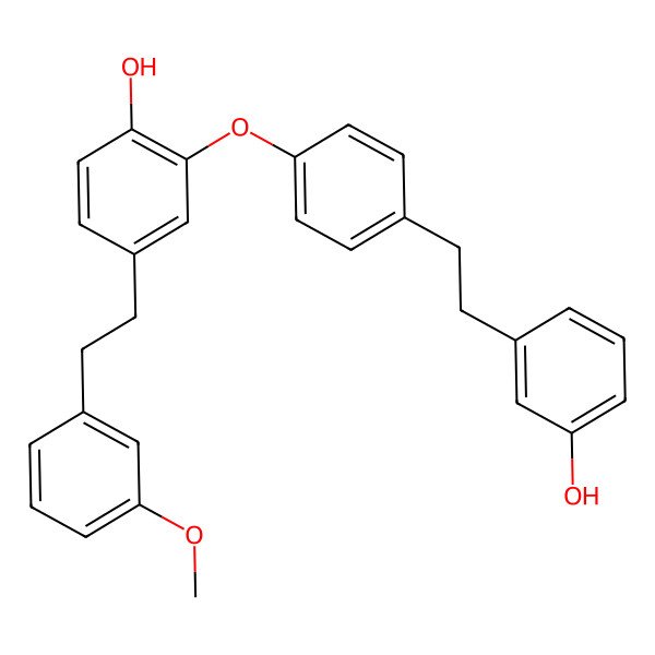 2D Structure of Perrottetin E 11'-Methyl Ether