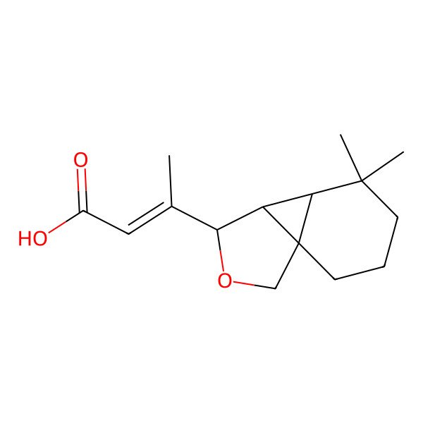 2D Structure of Phellilin C