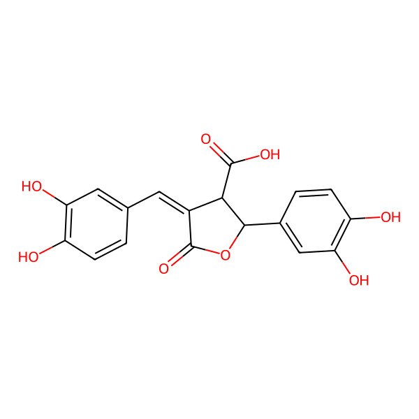 2D Structure of (2R,3R,4E)-2-(3,4-dihydroxyphenyl)-4-[(3,4-dihydroxyphenyl)methylidene]-5-oxooxolane-3-carboxylic acid