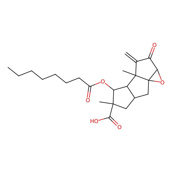 2D Structure of Phellodonic acid