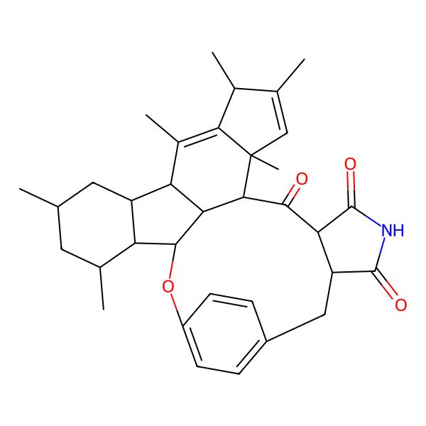 2D Structure of Phomapyrrolidone A