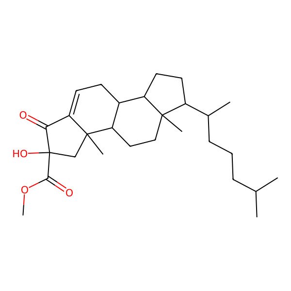 2D Structure of Phorbasterone B