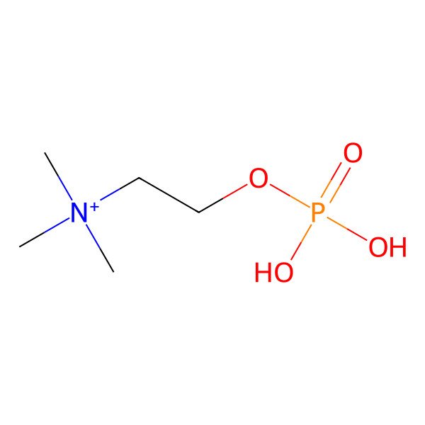 2D Structure of Phosphocholine