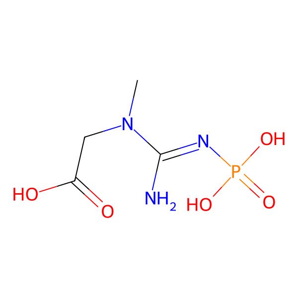 2D Structure of Phosphocreatine
