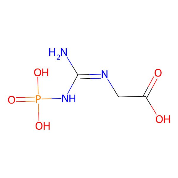 2D Structure of Phosphoguanidinoacetate