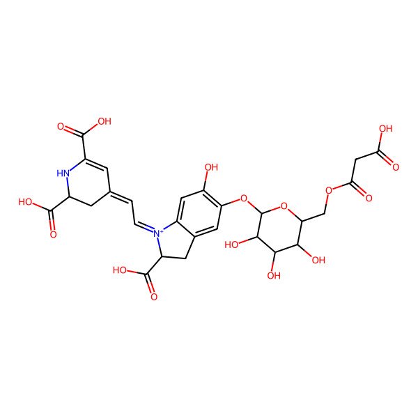 2D Structure of Phyllocactin