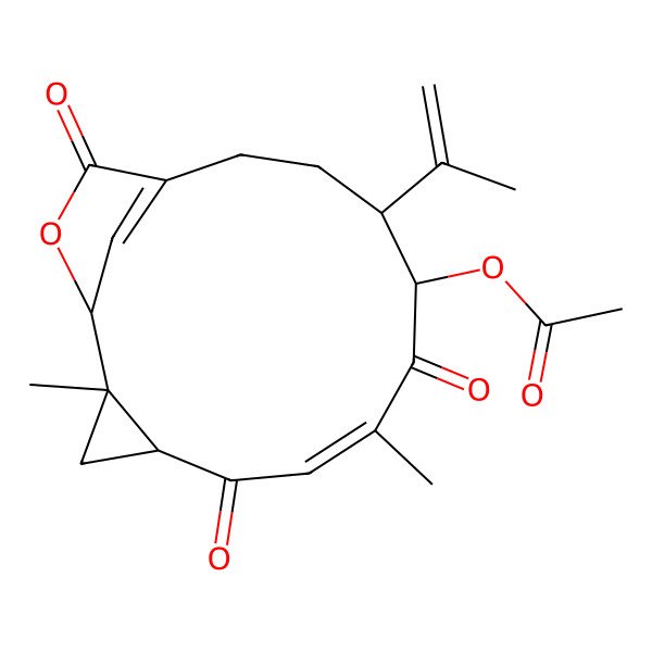 2D Structure of Pinnatin B