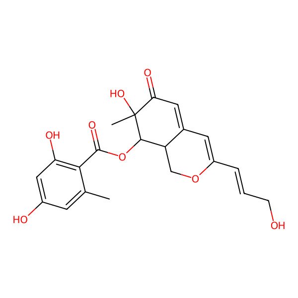 2D Structure of Pinophilin B