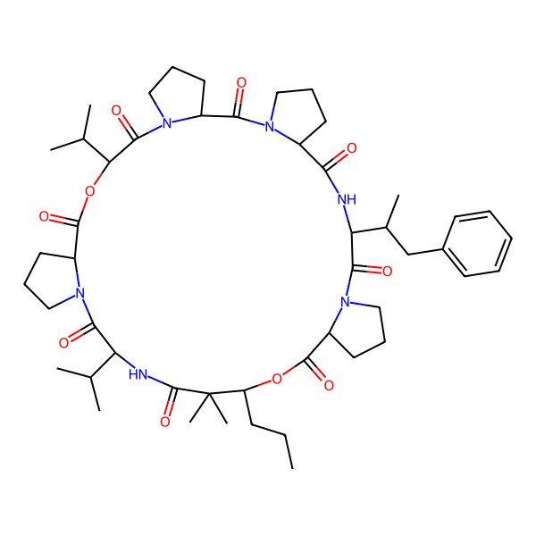 2D Structure of Pitiprolamide