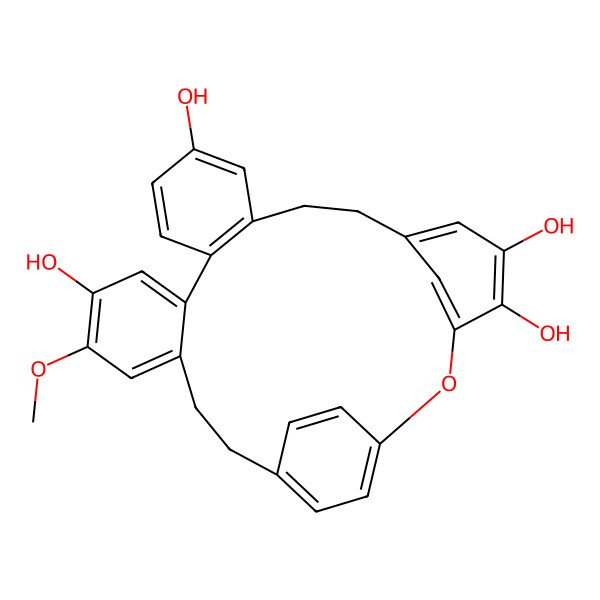 2D Structure of Plagiochin A