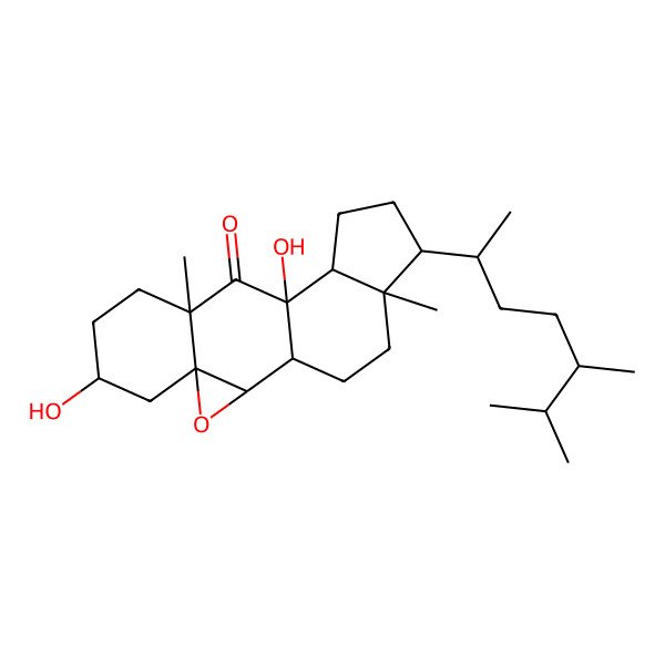 2D Structure of Pleurocin B