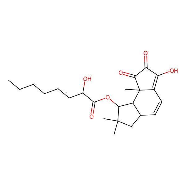 2D Structure of Pleurocybellone A