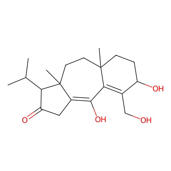 2D Structure of Plicatilisin B
