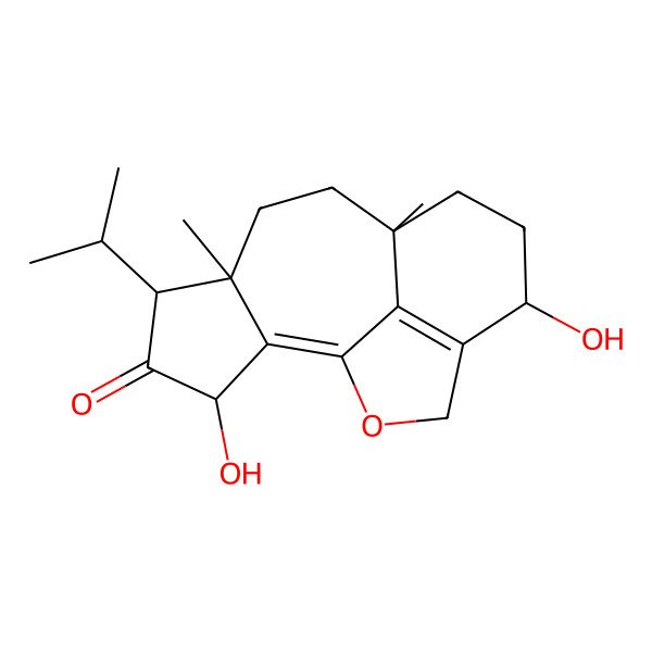 2D Structure of Plicatilisin H