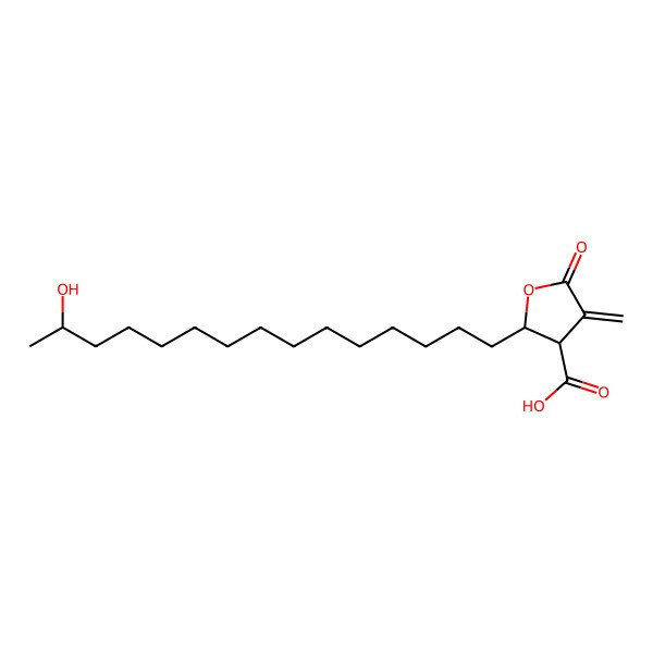 2D Structure of Protoconstipatic acid