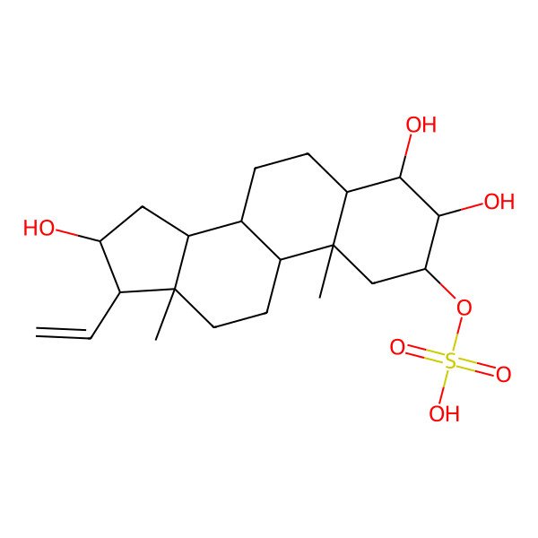 2D Structure of 5alpha-Pregn-20-en-2beta,3beta,4beta,16beta-tetrol 2-sulfate