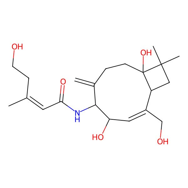 2D Structure of Punctaporonin K