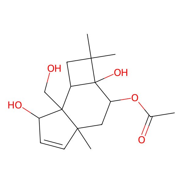 2D Structure of Punctaporonin L