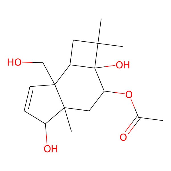 2D Structure of Punctaporonin M
