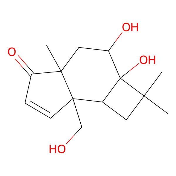 2D Structure of Punctaporonin N