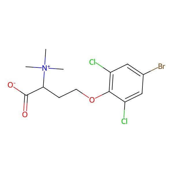 2D Structure of Purpuroine C
