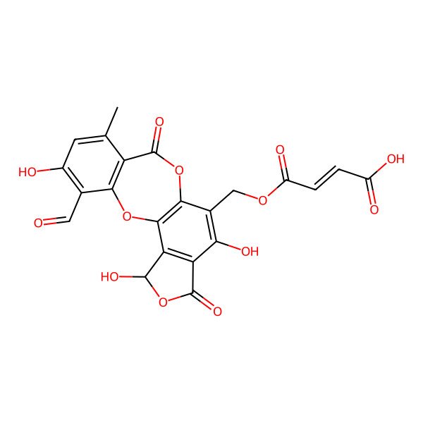 2D Structure of Quaesitic acid