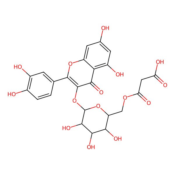 2D Structure of Quercetin 3-(6''-malonyl-glucoside) 2D Structure of Quercetin 3-(6''-malonyl-glucoside)