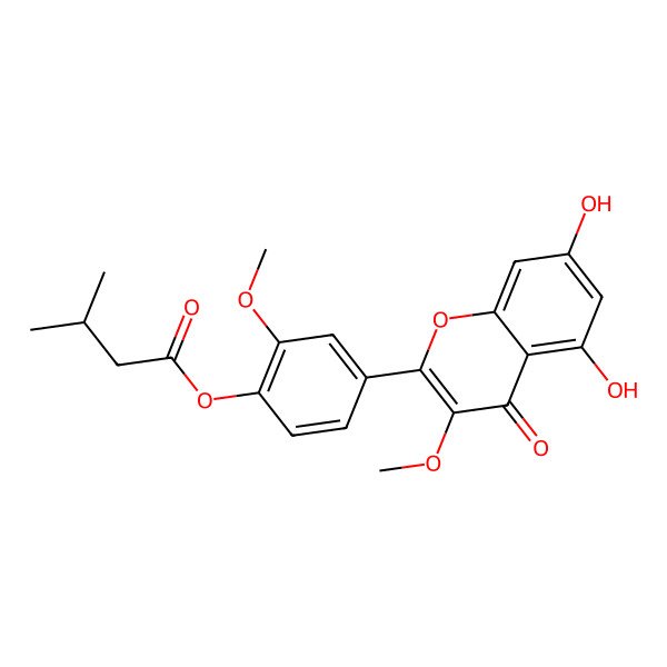2D Structure of Quercetin 3,3'-dimethyl ether 4'-isovalerate