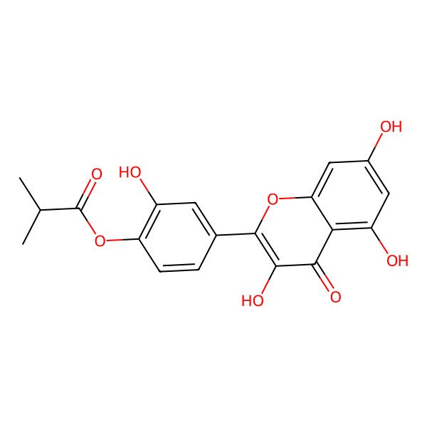 2D Structure of Quercetin 4'-isobutyrate 2D Structure of Quercetin 4'-isobutyrate