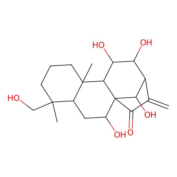 2D Structure of Rabdokunmin E 2D Structure of Rabdokunmin E