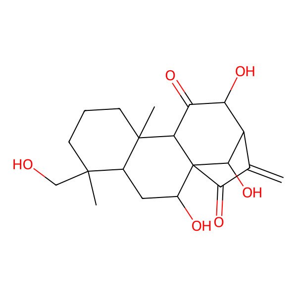 2D Structure of rabdoloxin A