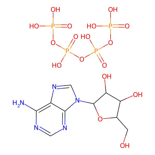 2D Structure of rAdo.P-P-P-P
